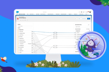 Salesforce Data Cloud